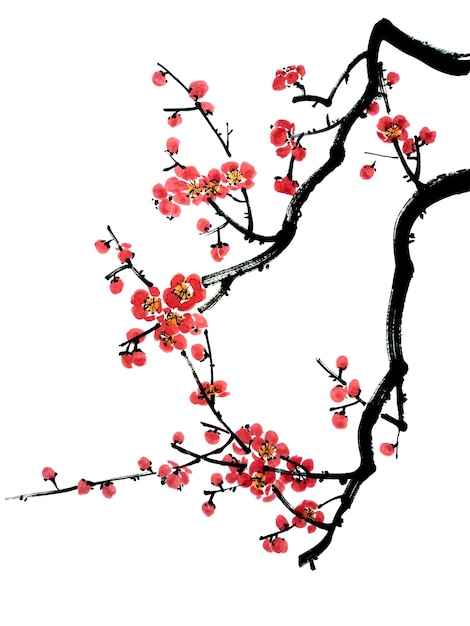 A branch of a blossoming tree Pink and red stylized flowers of plum mei wild apricots and sakura