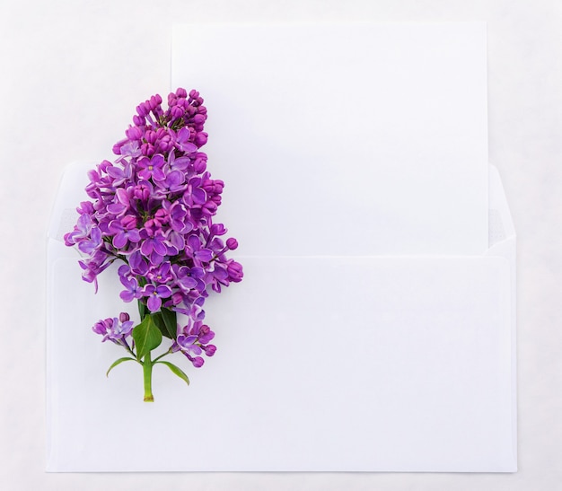 A branch of bright lilacs in an envelope on a light background