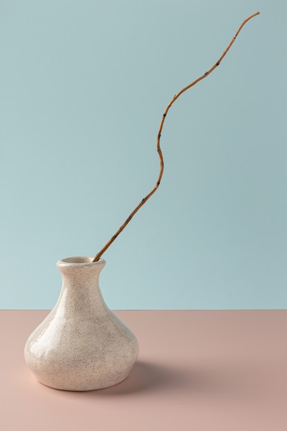 A branch in a ceramic vase on delicate colored backgrounds
