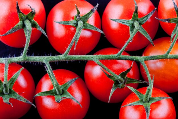 Branch of cherry tomatoes