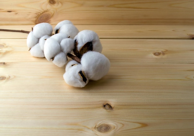 Foto un ramo di cotone su un tavolo di legno