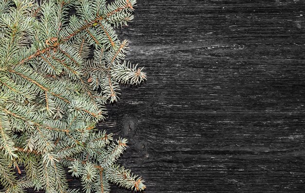 Branch of fir on wooden background