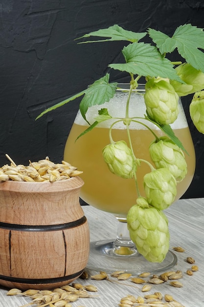 Ветка свежего хмеля с пивом или элем в высоком кубке сзади и контейнер с семенами ячменя