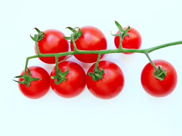 branch of fresh red cherry tomatoes isolated on the white