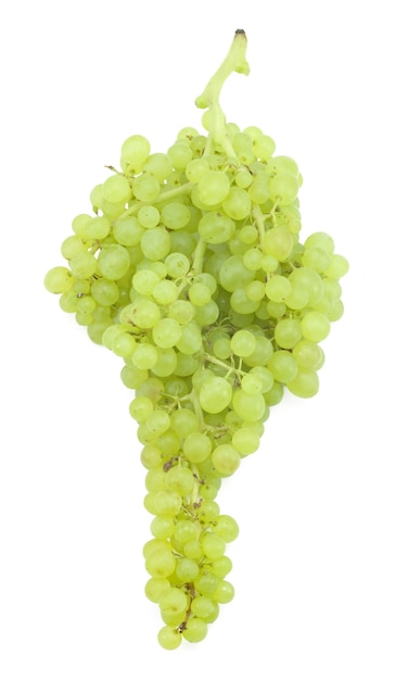 Photo branch of green grapes on a white surface