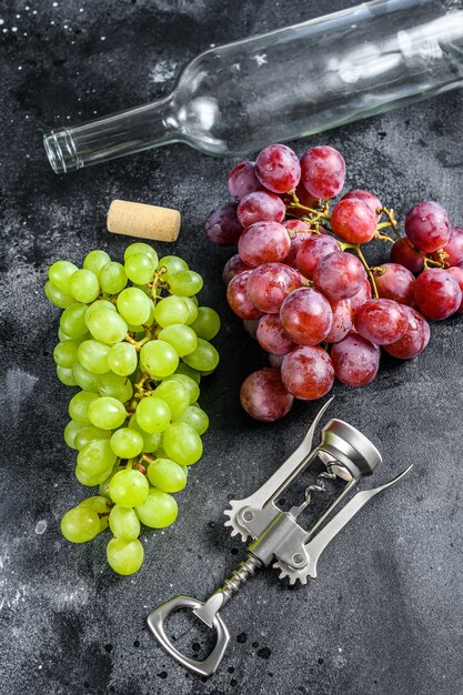 A branch of green and red grape