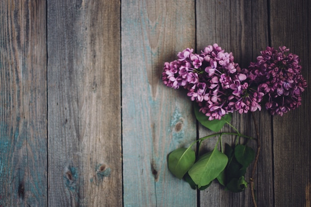 Branch of lilac on a rustic wooden background, copy space