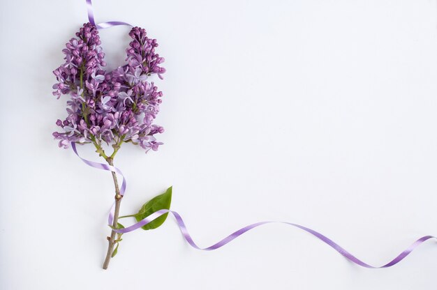 A branch of lilac with purple flowers with a purple ribbon