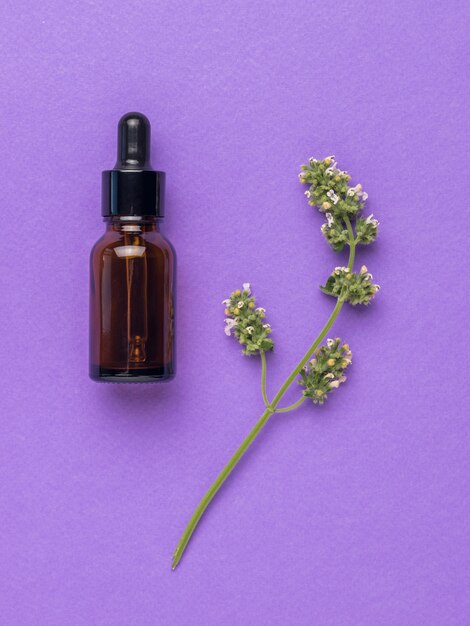 A branch of melissa and a bottle with an eyedropper on a purple background. Flat lay.