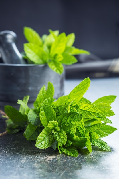 Branch mint leaves on old kitchen table