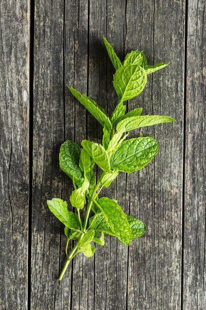 Photo branch mint leaves on old wooden table