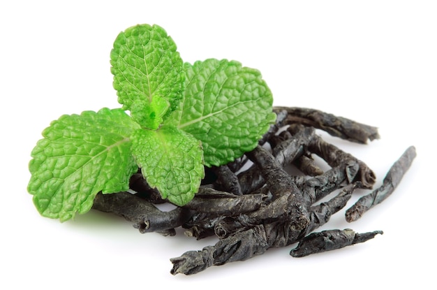 Branch mint with dried mint tea on white