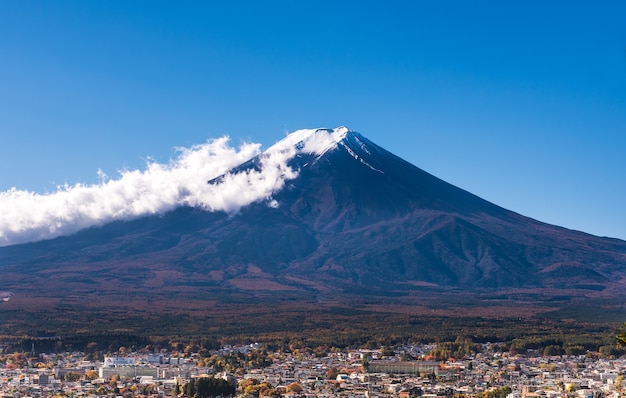 日本の赤い塔からの枝と富士山の景色