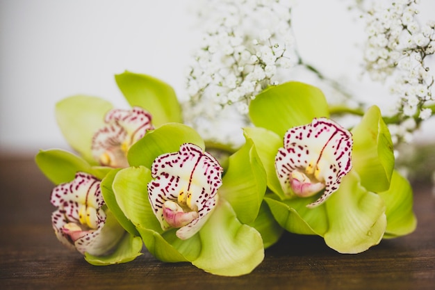 Branch of orchids on wooden background