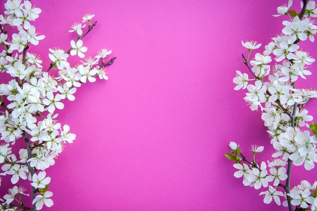 A branch of plum blossoms