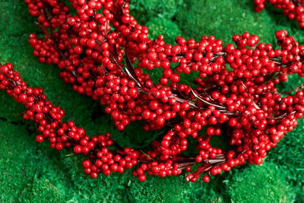 Photo branch of red berries lying on the backdrop lush green moss close