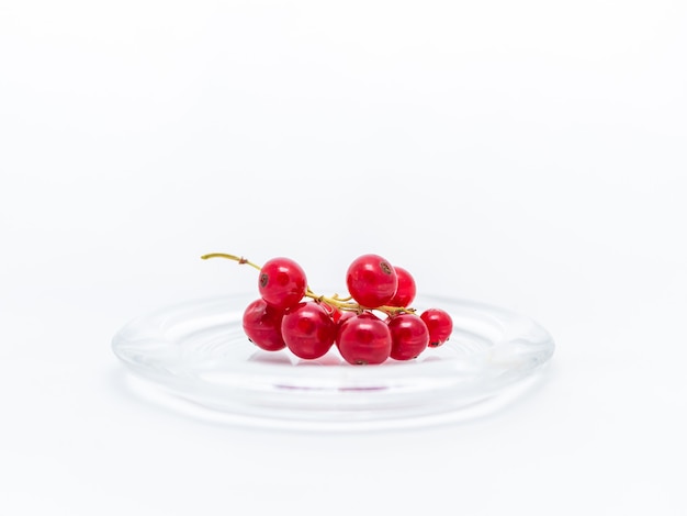 Branch of red currants in a glass plate.