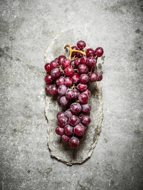 Branch of red grapes.