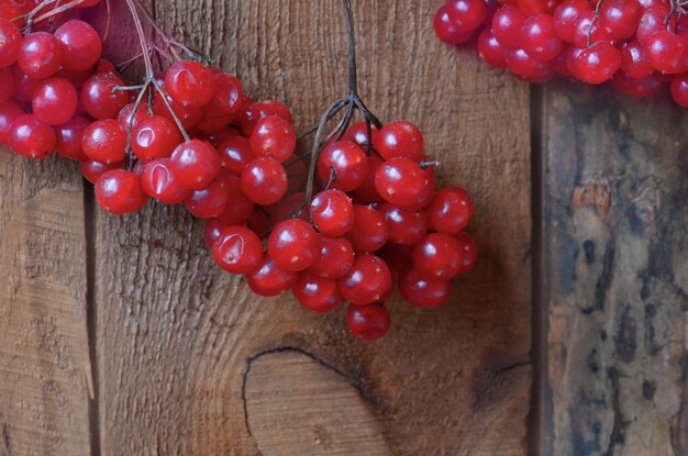 Photo branch of red viburnum guelder rose berries on wooden background