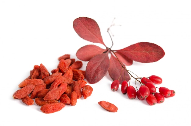 Ramo dei crespini rossi maturi e delle bacche secche di goji isolati su spazio bianco