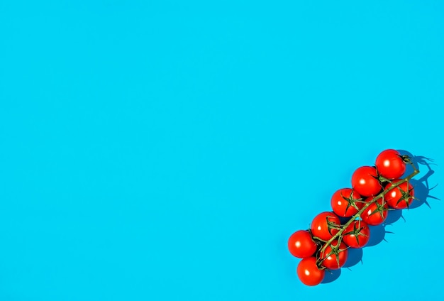 Branch of ripe red cherry tomatoes on a bright blue surface