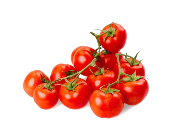 Branch ripe tomatoes