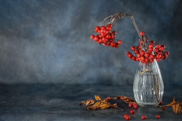 Branch of rowan in a glass vase on a vintage grunge, blurred background. Autumn Still Life. Card. Poster. Copy space.