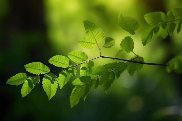 A branch of a tree with green leaves generative AI