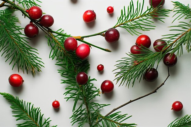 A branch of a tree with red berries on it