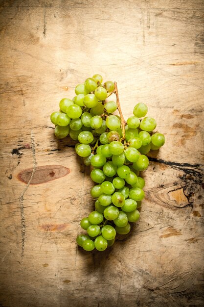 Branch of white grapes.