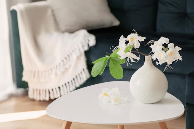 Branch of white rhododendron in vase in modern cozy interior