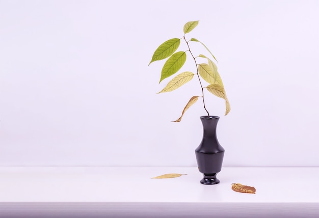 A branch with autumn leaves in a vase