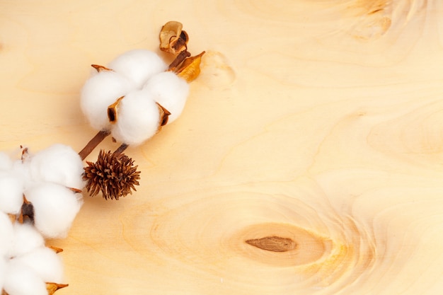 Branch with cotton flowers on wood