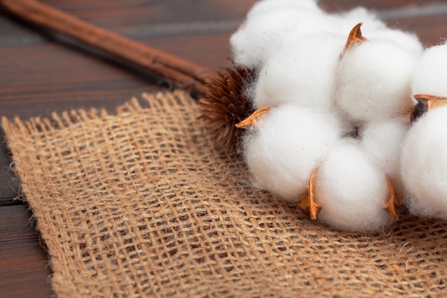 Branch with cotton flowers on wooden background