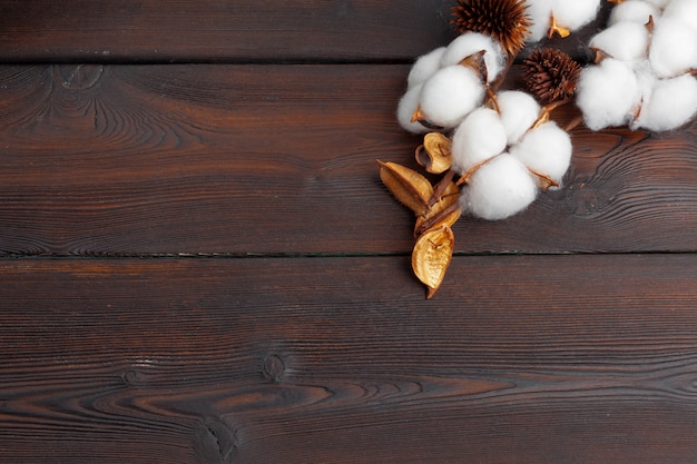 Branch with cotton flowers on wooden 