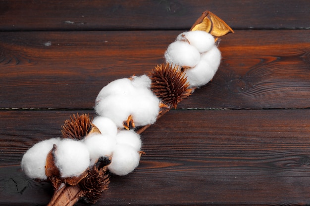 Branch with cotton flowers 