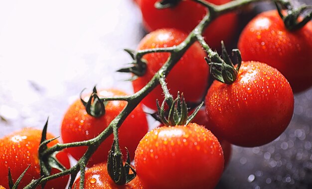 Branch with fresh cherry tomatoes. Ripe red tomatoes