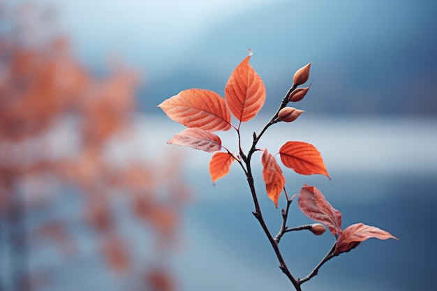 a branch with leaves in front of a lake