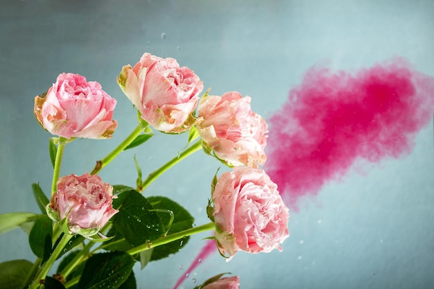 Branch with pink roses in water with red inkselective focus