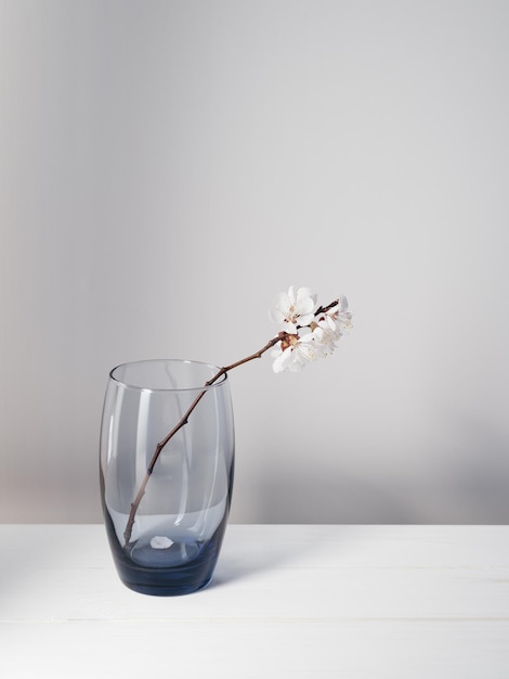 Branch with white flowers in a glass