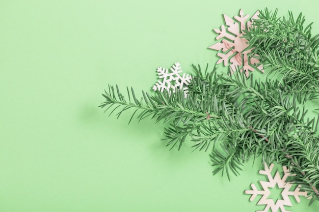 Branch of  yew  on green paper  background