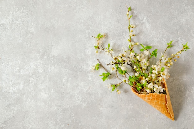 Photo branches of blooming cherry in a waffle cone on a gray table. view from above, copy space. concept spring .