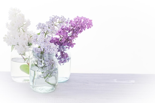 Branches of blooming multicolored lilac in glass jars on white wooden table