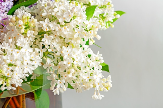 Branches of blooming white lilacs arranged in a bouquet