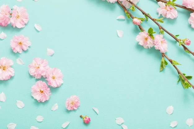 Branches of blossoming almonds on green background