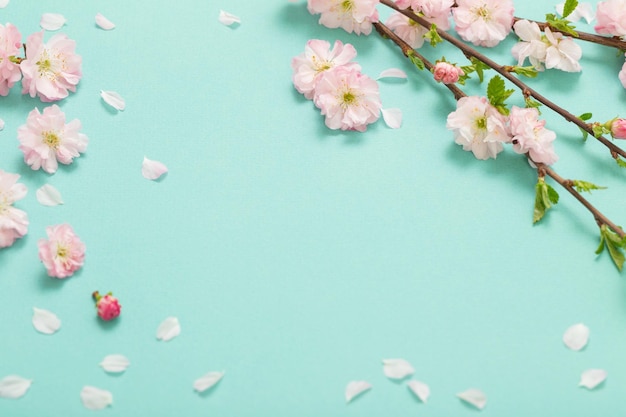 Branches of blossoming almonds on green background