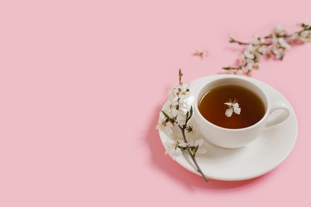 Branches of a blossoming apple tree lie on a gentle pink surface