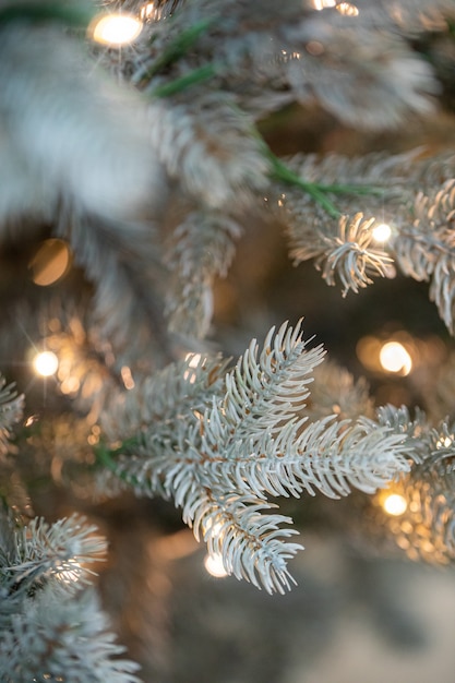 branches of a Christmas tree with garlands