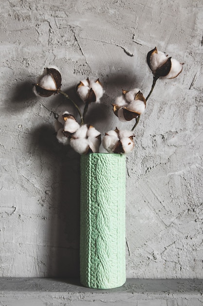 Branches of cotton in a vase on a background