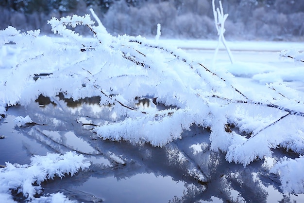 霜の背景で覆われた枝抽象的な冬12月ビュー